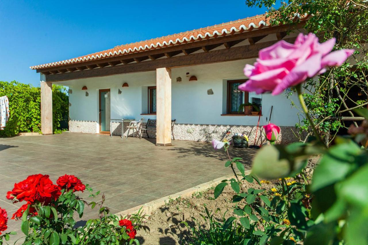 H - Montes de Praias GuestHouse Aljezur Extérieur photo